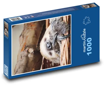 Obrázok produktu pre martinpuzzle - Puzzle 1000 dielikov - Spávajúci lenochod
