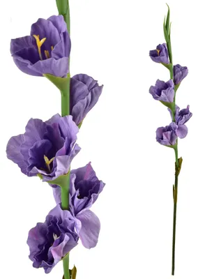 Obrázek produktu pro Umělá květina gladiolus, plast, MONDEX Viridis, zelená, 85 cm, 1 kus