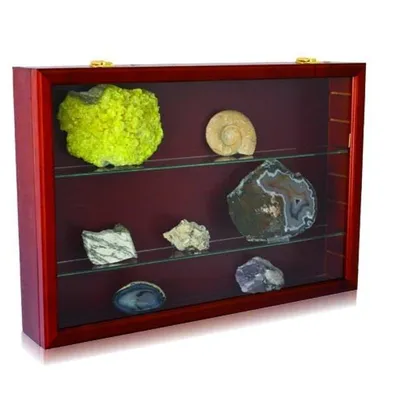 Produktbild von Präsentations-Vitrine "Maxi" Holz Luxus