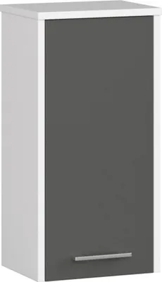 Produktbild von Freistehender Badezimmerschrank: eine Tür, zwei Einlegeböden, Farbe: weiß | Graphitgrau, Möbelmaße: B: 30 cm, H: 60 cm, T: 22,5 cm.