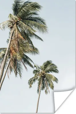 Produktbild von MuchoWow® Poster Palmen - Sommer - Tropisch 120x180 cm - Kunstposter