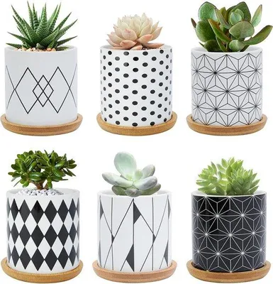 Obrázok produktu pre Keramické kvetináče na malé rastliny, 7,5 cm, geometrický vzor, do interiéru aj exteriéru, sada 6 ks