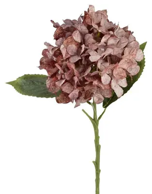 Productafbeelding van Viridis Kwiat, kunststof hortensia, 53 cm