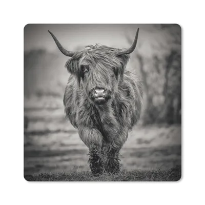 Produktbild von MuchoWow® Mauspad Mousepad Schottischer Highlander - Schwarz und Weiß 20x20 cm - Mousepads - Maus Mat - Pad - Mausunterlage - Desk Mat - Bureauartikeln
