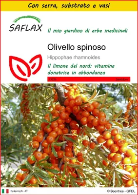 Immagine prodotto di SAFLAX Insieme di coltivazione - Olivello spinoso - 40 semi - Hippophae