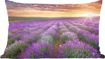Produktbild von MuchoWow® Zierkissen Sofakissen Wohnzimmer Dekokissen 50x30 cm Lavendel - Wolken - Frühling - Wohnzimmerdekoration - Polster mit Photo
