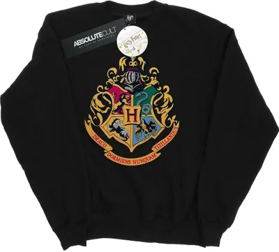 Zdjęcie produktu dla Bluza męska „Hogwart” z serii Harry Potter BI28142 (L) (czarna)