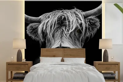 Produktbild von MuchoWow® Fototapete für Wohnzimmer oder Schlafzimmer Wandtapete Vinyl Motivtapete Schottischer Highlander - Hörner - Schwarz - Weiß - Kuh - Wild - Tiere - 240x240 cm - Schlafzimmer-Tapete