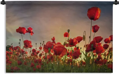 Produktbild von MuchoWow® Wandteppich Wandbehang Mohnblumen - Blumen - Sonnenaufgang 120x80 cm Tapisserie Dekoration Wandtuch - Wanddekorationen - Wandtücher