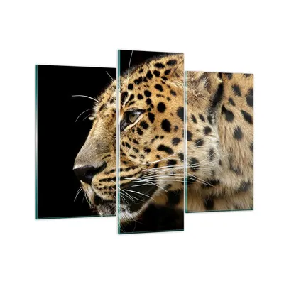 Produktbild von Bilder auf glas - Tiere Leopard wilde Katze wilde Tiere - 130x100cm - Glasbilder - Wandbilder - Kunstdruck - Wanddekoration aus Glas - Glas Bilder - Wandbild auf Glas - GCB130x100-0433