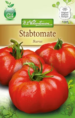 Produktbild von Stabtomate Ikarus | Stabtomatensamen von N.L. Chrestensen
