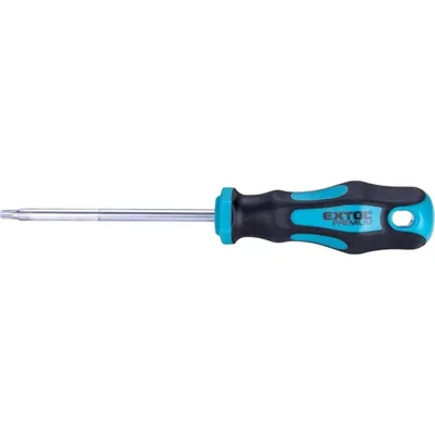 Obrázek produktu pro Šroubovák TORX, TTa25x100mm, CrV