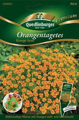 Produktbild von Orangen-Tagetes Orange | Blumensamen von Quedlinburger