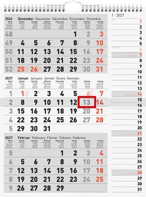 Produktbild von rido/idé 7033330007 3-Monatskalender 2027 grau, 300×390 mm