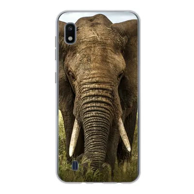 Produktbild von MuchoWow® Handyhülle Schutzhülle Hülle für Samsung Galaxy A10 Elefant - Natur - Gras - Tiere - Landschaft Silikon Softcase Handy Hülle - Schutzhülle