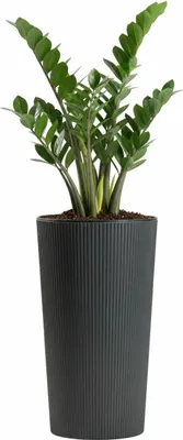 Produktbild von HowHomely | Pflanzkübel - Blumentopf - 47x25 cm - grau - Rillenstruktur - Übertopf - Pflanzgefäß