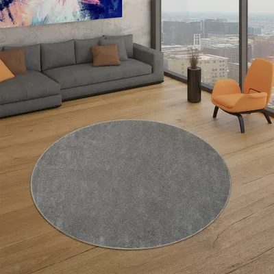 A modern living room with a sectional sofa, an orange accent chair, and a large window overlooking a city skyline. A round gray rug is placed on the wooden floor in the foreground.
