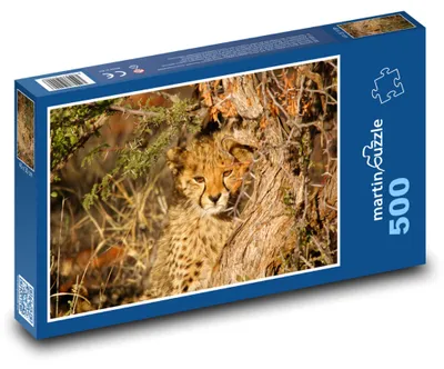 Produktbild von martinpuzzle - Puzzle 500 Teile - Leopard am Baum