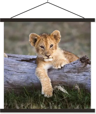 Produktbild von MuchoWow® Textilposter Jungtier - Tier - Natur 120x120 cm mit schwarzem Rahmen - Aufhängungsset