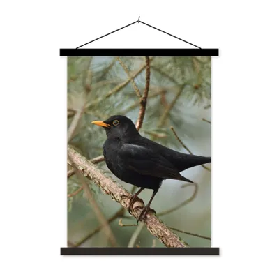 Produktbild von MuchoWow® Textilposter Vogel - Amsel - Zweige - Tiere 90x120 cm mit schwarzem Rahmen - Dekoration