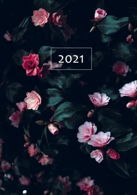 Produktbild von 2021 Terminplaner