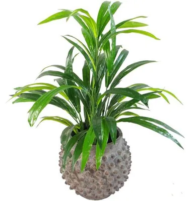 Produktbild von Kunstblättrige Strauchpflanze, 65 cm, grün