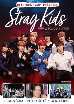 Immagine prodotto di Stray Kids
