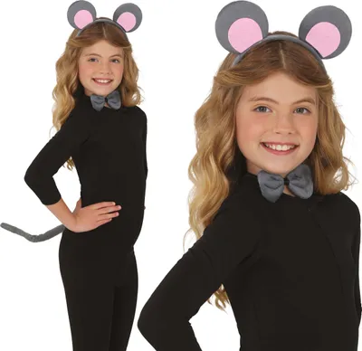 Productafbeelding van Dierenaccessoires voor carnaval: hoofdband, strik, staart. Schattige muizenkostuumset, kleur: grijs