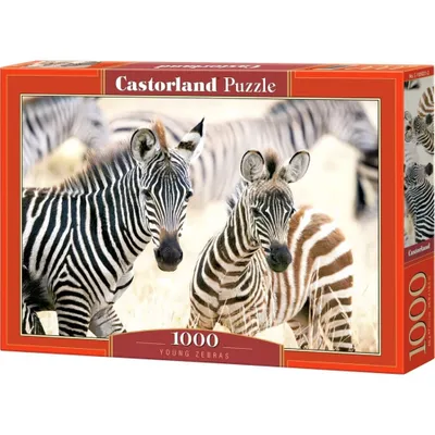 Obrázok produktu pre Puzzle 1000 dielov Young Zebras 105021 Castorland