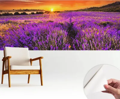 Obrázek produktu pro Samolepicí fototapeta – 250 x 104 cm – tapeta – nástěnná tapeta – nástěnné obrazy – samolepicí fólie – dekorativní fólie – tapetová fólie – stěna – dekorace – obývací pokoj – levandulový západ slunce