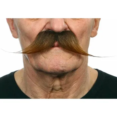 Immagine prodotto di Accessori per baffi da travestimento My Other Me
