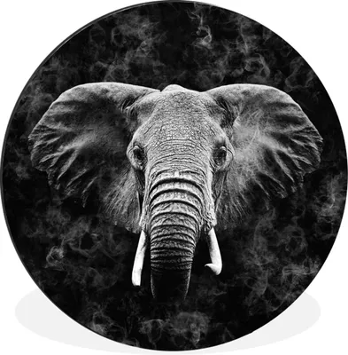 Produktbild von MuchoWow® Aluminium Wandkreis Elefant - Tiere - Rauchen - Schwarz - Weiß Ø 60 cm Wanddeko Modern Wohnzimmer - Wand Kreis - Wandbild - Schlafzimmer - Aluminium Bild - Kinderzimmer - Wohnzimmer Dekoration - Wandschmuck