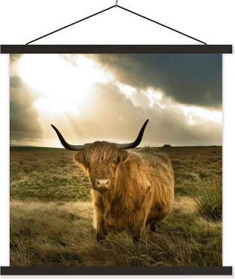 Produktbild von MuchoWow® Textilposter Schottisches Hochlandrind - Sonne - Gras 120x120 cm mit schwarzem Rahmen - Aufhängungsset