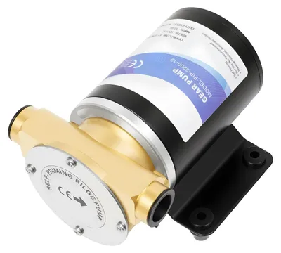 Immagine prodotto di Pompa dell'acqua, motore ad alta efficienza, struttura resistente, 12 V, UE
