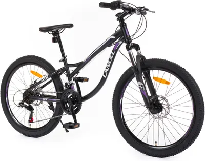 Produktbild von Canull XC 240 schwarz/violett 24"