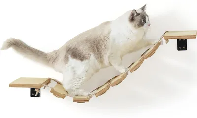 Produktbild von Wandmontierte Katzenbrücke mit Kletterelementen für Kätzchen und Katzen