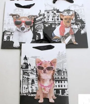 Immagine prodotto di Sacchetti regalo, 12 pezzi, con motivi di cani, 25 x 18 cm