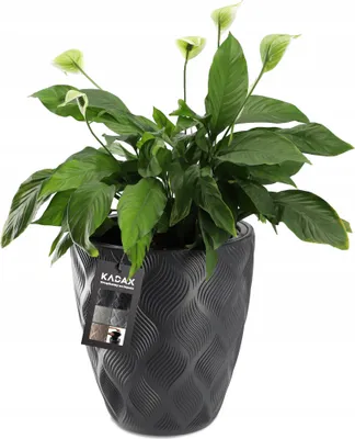 Zdjęcie produktu dla KADAX Donica Doniczka z Wkładem Osłonka Antracyt 42cm