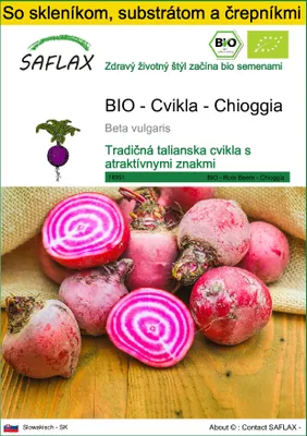 Obrázok produktu pre SAFLAX Kultivačný set - BIO - Cvikla - Chioggia - Beta vulgaris - 70 Semená - S mini skleníkom, pestovateľským substrátom a 2 črepníkmi