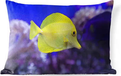 Produktbild von MuchoWow® Outdoor Kissen - Fisch - Koralle - Gelb - 60x40 cm - Wetterfest - Lounge Kissen - Zierkissen - Kissen für Innenräume