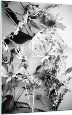 Produktbild von Bilder auf glas - Einteilig - Blumen Schwarzweiß Fotografie - 50x70cm - Glasbilder - Wandbilder - Bilder - Wanddekoration aus Glas - Glas Bilder - Wandbild auf Glas - GPA50x70-4740