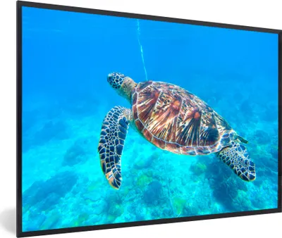 Produktbild von MuchoWow® MuchoWow® Gerahmtes Poster Schildkröte - Meer - Blau 60x40 cm - Poster mit zchwarzem Bilderrahmen - Printing - Wanddeko Schlafzimmer