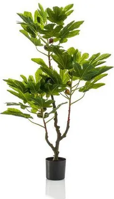 Produktbild von Kunstpflanze Ficus Carica Feigenbaum ↕95cm Mit Früchten Mediterrane Dekopflanze