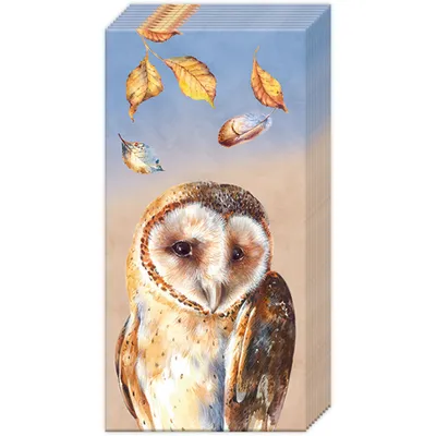 Produktbild von Papiertaschentücher "Eule Evie"