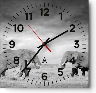 Produktbild von Wanduhr - Quadrat - Glasuhr - Elefanten Schwarzweiß Safari - 30x30cm - Schleichendes Uhrwerk - Lautlos - zum Aufhängen bereit - Dekoration Modern - Wanddekoration aus Glas - C4AC30x30-4186