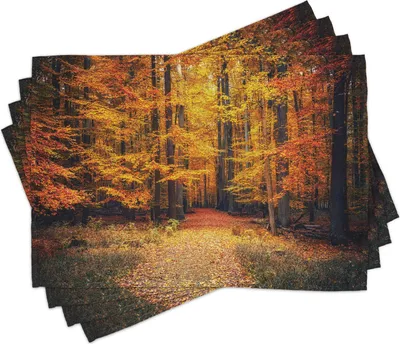 Produktbild von ABAKUHAUS Wald Platzmatten, Fall Foto Im Nationalpark Mit Lebhaftem Blatt Anlage Eco Erdmystischem Thema, 30 x 45 cm, Orange Braun