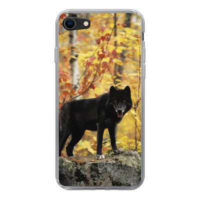 Produktbild von MuchoWow® Handyhülle Schutzhülle Hülle für iPhone SE 2020 Wolf - Fels - Baum Silikon Softcase Handy Hülle - Kartenbesitzer
