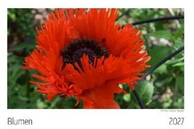Produktbild von Blumen Kalender 2027