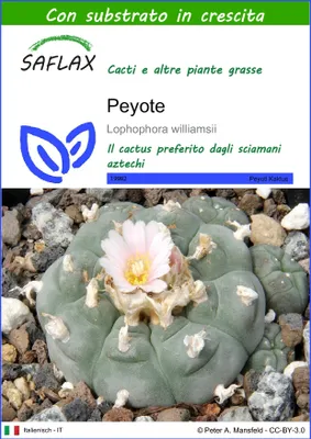 Immagine prodotto di SAFLAX  - Peyote - 20 semi - Con substrato - Lophophora