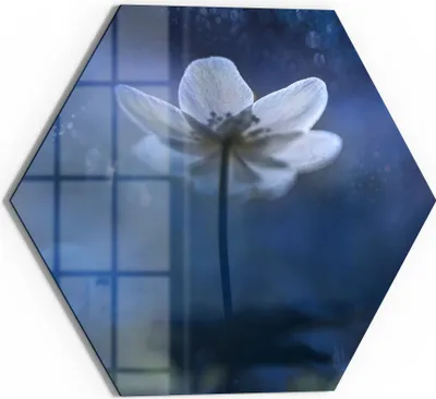Produktbild von DEQORI Glasbild Echtglas 55x48 cm 'Ätherische Blüte' Wandbild Bild modern Deko